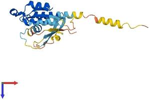 AlphaFold protein structure predicition of Human Recombinant RERGL Protein, UniprotID Q9H628