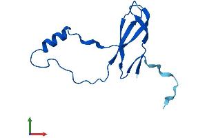 AlphaFold protein structure predicition of Human Recombinant RPL36A Protein, UniprotID P83881