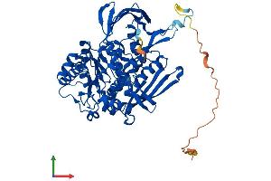 AlphaFold protein structure predicition of Mouse Recombinant Isyna1 Protein, UniprotID Q9JHU9