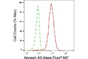 Flow cytometric analysis of Annexin A3 expression in HepG2 cells using Annexin A3 antibody (ABIN7797619), 1:2,000).