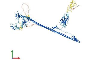 AlphaFold protein structure predicition of Human Recombinant TRIM45 Protein, UniprotID Q9H8W5