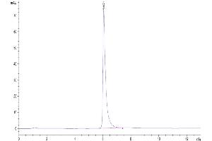 The purity of Human ITGAV&ITGB3 is greater than 95 % as determined by SEC-HPLC.