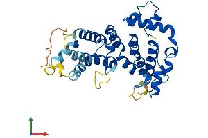 AlphaFold protein structure predicition of Human Recombinant ASB17 Protein, UniprotID Q8WXJ9