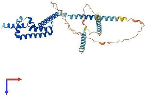 AlphaFold protein structure predicition of Mouse Recombinant Cfap36 Protein, UniprotID Q8C6E0