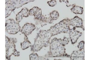 Immunoperoxidase of monoclonal antibody to S100A11 on formalin-fixed paraffin-embedded human placenta.