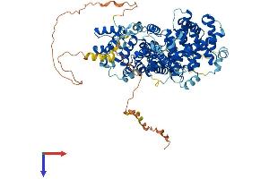 AlphaFold protein structure predicition of Mouse Recombinant Strip1 Protein, UniprotID Q8C079