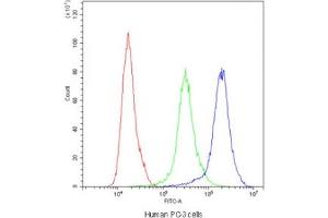 Flow cytometry testing of human PC-3 cells with ADO antibody at 1ug/10^6 cells (blocked with goat sera) (ADO anticorps)