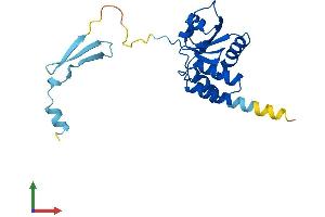AlphaFold protein structure predicition of Human Recombinant DUSP19 Protein, UniprotID Q8WTR2