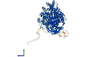 AlphaFold protein structure predicition of Mouse Recombinant Erap1 Protein, UniprotID Q9EQH2