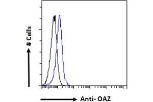 ABIN308409 Flow cytometric analysis of paraformaldehyde fixed Kelly cells (blue line), permeabilized with 0.