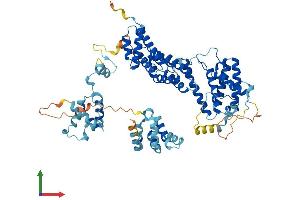 AlphaFold protein structure predicition of Mouse Recombinant Thoc1 Protein, UniprotID Q8R3N6