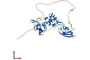 AlphaFold protein structure predicition of Mouse Recombinant Deptor Protein, UniprotID Q570Y9