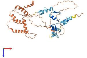AlphaFold protein structure predicition of Human Recombinant ZNF200 Protein, UniprotID P98182
