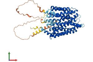 AlphaFold protein structure predicition of Human Recombinant SPNS2 Protein, UniprotID Q8IVW8