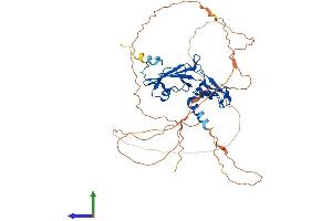 AlphaFold protein structure predicition of Human Recombinant GCM1 Protein, UniprotID Q9NP62