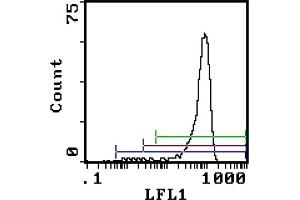 Rat anti Granulocytes (Gr-1 antigen) RB6-8C5 (Ly6g anticorps)