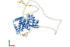 AlphaFold protein structure predicition of Mouse Recombinant Ptpn18 Protein, UniprotID Q61152