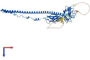 AlphaFold protein structure predicition of Human Recombinant FSD1L Protein, UniprotID Q9BXM9