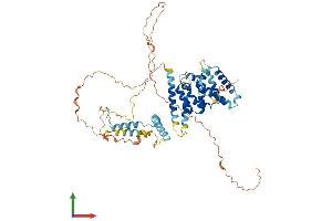 AlphaFold protein structure predicition of Mouse Recombinant Patl2 Protein, UniprotID A2ARM1