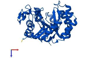 AlphaFold protein structure predicition of Mouse Recombinant Tatdn1 Protein, UniprotID Q6P8M1