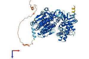 AlphaFold protein structure predicition of Mouse Recombinant Dhx33 Protein, UniprotID Q80VY9