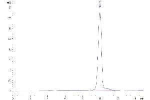 The purity of Human IL-1 Beta/IL-1F2 is greater than 95 % as determined by SEC-HPLC.