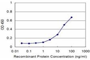 Detection limit for recombinant GST tagged PNMA2 is approximately 1ng/ml as a capture antibody. (PNMA2 anticorps  (AA 1-364))