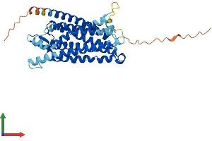 AlphaFold protein structure predicition of Mouse Recombinant Fpr2 Protein, UniprotID O88536