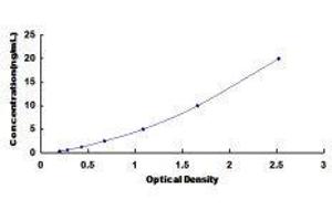 Lactase (LCT) ELISA Kit