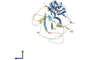 AlphaFold protein structure predicition of Human Recombinant KIF17 Protein, UniprotID Q9P2E2