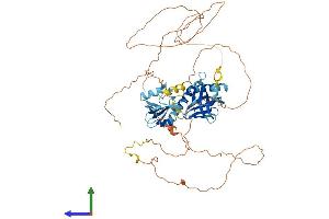 AlphaFold protein structure predicition of Mouse Recombinant Shc4 Protein, UniprotID Q6S5L9