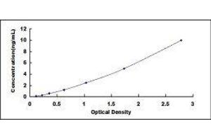 ELISA image for Insulin-Like Growth Factor Binding Protein 1 (IGFBPI) ELISA Kit (ABIN414868)