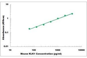 Representative Standard Curve (Kallikrein 1 Kit ELISA)