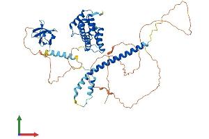 AlphaFold protein structure predicition of Mouse Recombinant Stam2 Protein, UniprotID O88811