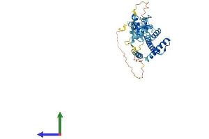 AlphaFold protein structure predicition of Mouse Recombinant Rnf32 Protein, UniprotID Q9JIT1