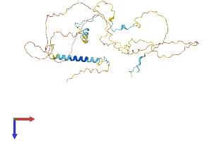 AlphaFold protein structure predicition of Human Recombinant HABP4 Protein, UniprotID Q5JVS0