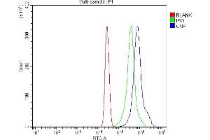 Flow Cytometry analysis of U937 cells using anti-CNPase/CNP antibody (ABIN7599377).