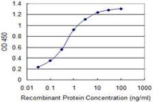 Detection limit for recombinant GST tagged AMELX is 0.