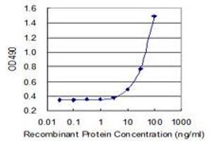 BST2 (Human) Matched Antibody Pair
