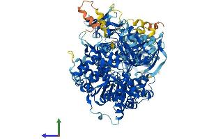 AlphaFold protein structure predicition of Mouse Recombinant Dna2 Protein, UniprotID Q6ZQJ5