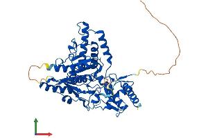 AlphaFold protein structure predicition of Human Recombinant SCLY Protein, UniprotID Q96I15