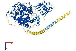 AlphaFold protein structure predicition of Human Recombinant GALNT3 Protein, UniprotID Q14435
