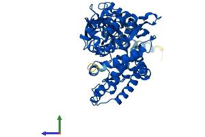 AlphaFold protein structure predicition of Human Recombinant CYP2D6 Protein, UniprotID P10635