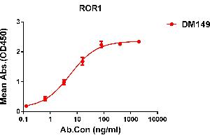 ELISA plate pre-coated by 1 μg/mL (100 μL/well) Human ROR1 protein, His tagged protein ((ABIN6964103, ABIN7042461 and ABIN7042462)) can bind Rabbit anti-ROR1 monoclonal antibody(clone: DM149) in a linear range of 1-50 ng/mL. (ROR1 anticorps  (AA 30-403))