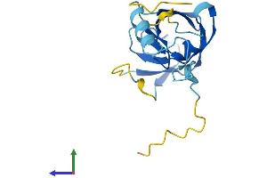 AlphaFold protein structure predicition of Human Recombinant ERVK-25 Protein, UniprotID P63125