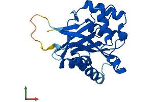 AlphaFold protein structure predicition of Mouse Recombinant Emc8 Protein, UniprotID O70378