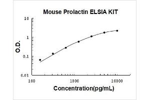Prolactin (PRL) ELISA Kit