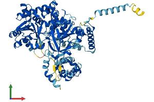 AlphaFold protein structure predicition of Human Recombinant ACSL5 Protein, UniprotID Q9ULC5