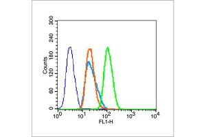 HeLa cells were fixed with 4% PFA for 10min at room temperature, permeabilized with 90% ice-cold methanol for 20 min at room temperature, and incubated in 5% BSA blocking buffer for 30 min at room temperature. (Histone 3 anticorps  (H3K36me2))