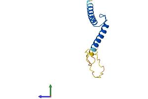 AlphaFold protein structure predicition of Mouse Recombinant Tal2 Protein, UniprotID Q62282